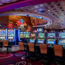 51win trải nghiệm cá cược