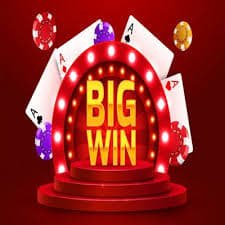 51win
